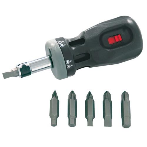 PROLINE 10028 Wkrętak z grzechotką + końcówki wkrętakowe CrV