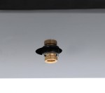 AIRPRESS Kompresor bezolejowy LMO 5-210 SILENT 10 bar 0.75 KM 168 l/min 5 l